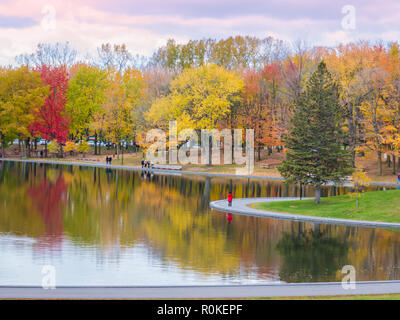 Lac aux castors en haut de Mont-Royal, comme des éclats de feuillage aux couleurs de l'automne. Montréal, Canada Banque D'Images