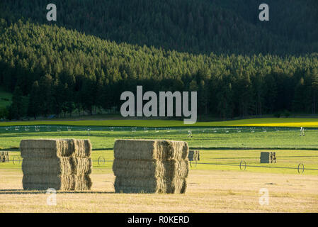 Bottes de foin dans une ferme de l'Oregon's Wallowa Valley. Banque D'Images