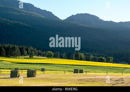 Bottes de foin dans une ferme de l'Oregon's Wallowa Valley. Banque D'Images