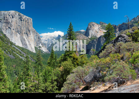 Yosemite National Park, Californie Banque D'Images