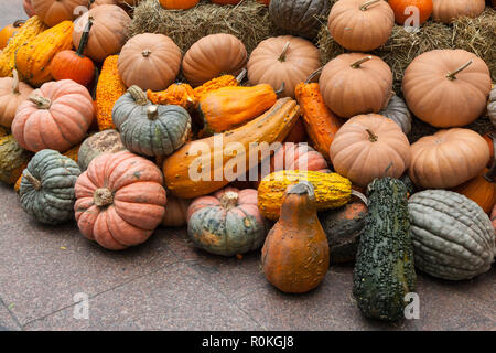 Exposition de citrouille à Broadway Bites une pop-up en été et en automne, Greeley Square, présentant un mélange varié de cuisines de chefs locaux, New York, U.S.A Banque D'Images