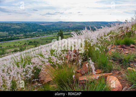 Donnant sur le fort Klapperkop de Pretoria, Pretoria, Afrique du Sud Banque D'Images