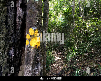 Marquage peint sur l'Otter Trail Banque D'Images