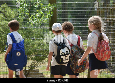 Les jeunes enfants de l'école primaire à l'école à pied Banque D'Images