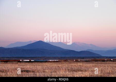 Paysage d'automne avec les montagnes enneigées derrière domaine couvert avec de l'herbe jaune de soleil colorés spectaculaires pendant Banque D'Images