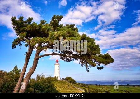 Panorama du phare en vertu de l'arbre sur l'île de Hiddensee, avec une vue sur la mer Baltique, Allemagne Banque D'Images