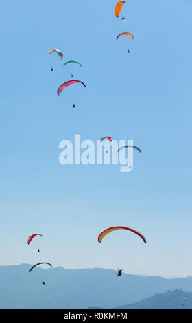 Un grand groupe de parapente profitez d'un courant ascendant thermique dans l'Himalaya au Népal Banque D'Images