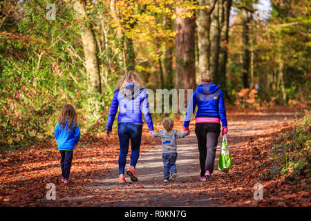 Famille bénéficiant d'une promenade à travers les bois couverts dans un bel automne couleurs d'automne au Belvedere House Gardens & Park à Mullingar, Irlande Banque D'Images