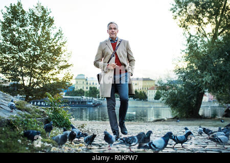 Mature businessman walking par la Vltava à Prague, ville par les pigeons. Banque D'Images