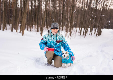 Jack Russell Terrier. Chien jouant dans winter park. Concept d'animaux. Banque D'Images