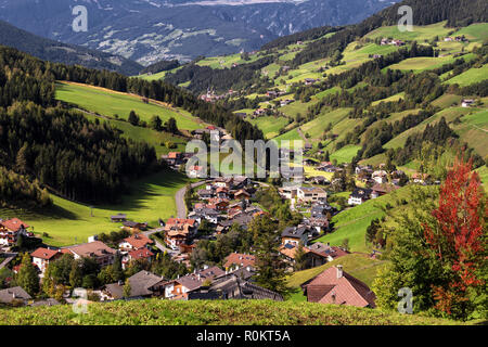 Val di Funes, Trentin-Haut-Adige, Italie. La grande couleurs automnales brille sous le soleil tardif avec Odle sur le contexte et le village de Santa Magdalena Banque D'Images