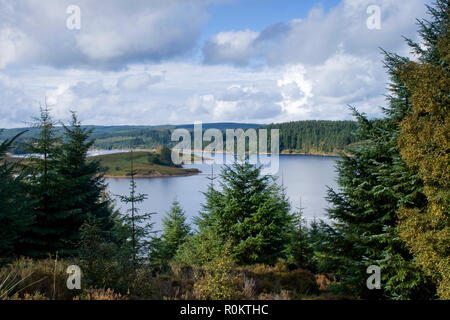 Une vue sur l'eau au lac de Kielder Forest et dans le Northumberland, Angleterre du Nord-Est, Royaume-Uni Banque D'Images