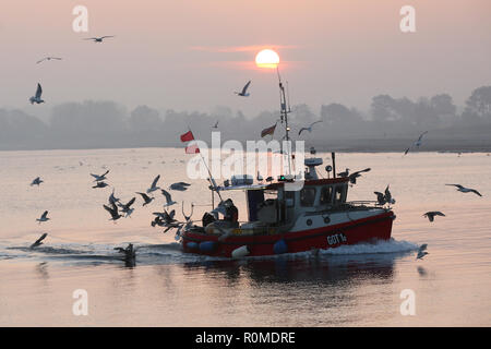 06 novembre 2018, le Schleswig-Holstein, Lübeck : accompagné par de nombreux goélands, le coupeur de pêche 'GOT 1a' arrive au port de Lübeck le matin dans le soleil. Photo : afp/Marques de Bodo Banque D'Images