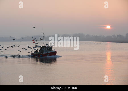 06 novembre 2018, le Schleswig-Holstein, Lübeck : accompagné par de nombreux goélands, le coupeur de pêche 'GOT 1a' arrive au port de Lübeck le matin dans le soleil. Photo : afp/Marques de Bodo Banque D'Images