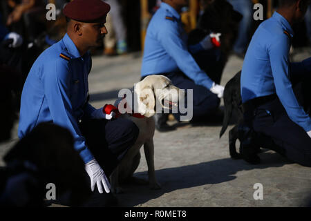 Katmandou, Népal. Nov 6, 2018. Les chiens policiers s'asseoir à côté de leur titulaire pendant ''Kukkur'' le chien Tihar festival adorant le deuxième jour de la période de cinq jours de long festival Tihar, également appelée Diwali à l'école de dressage des chiens de police à Katmandou, au Népal, le Mardi, Novembre 06, 2018. Credit : Skanda Gautam/ZUMA/Alamy Fil Live News Banque D'Images