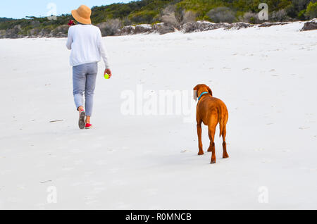 Woman wearing sun hat promenades le long beach avec chien qui est d'attendre avec impatience sa balle à jeter pour un jeu de fetch. Dame balade chien sur la plage. Banque D'Images