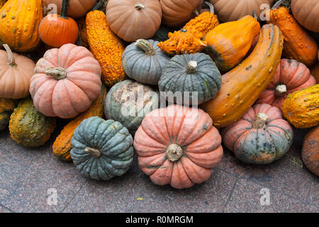 Exposition de citrouille à Broadway Bites une pop-up en été et en automne, Greeley Square, présentant un mélange varié de cuisines de chefs locaux, New York, U.S.A Banque D'Images