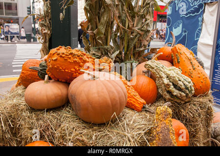 Exposition de citrouille à Broadway Bites une pop-up en été et en automne, Greeley Square, présentant un mélange varié de cuisines de chefs locaux, New York, U.S.A Banque D'Images