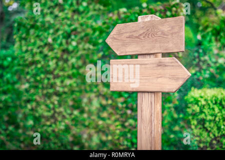 Enseigne bois dans la forêt pour la direction, libre de flèches indiquant les directions distinctes Banque D'Images