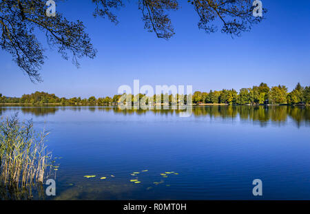 Près de Lac Staffelsee Murnau, Bavière, Allemagne Banque D'Images