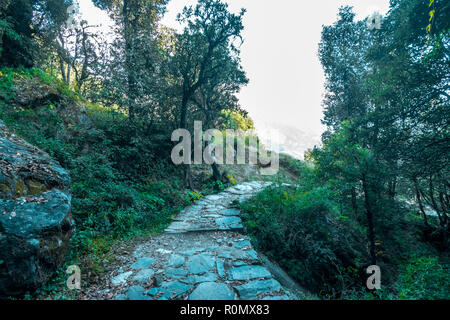 Tal Devaria Trek - Uttrakhand Banque D'Images