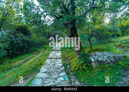 Tal Devaria Trek - Uttrakhand Banque D'Images