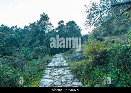 Tal Devaria Trek - Uttrakhand Banque D'Images