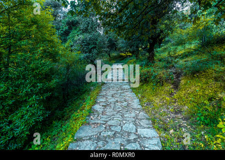 Tal Devaria Trek - Uttrakhand Banque D'Images