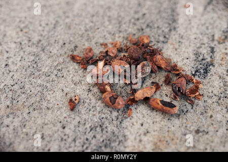 Les fèves de cacao et de redimensionnement sur une usine de fabrication de chocolat tableau Banque D'Images