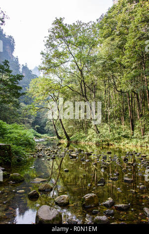 Le Wulingyuan Scenic Area, près de Zhangjiajie, Hunan, un site du patrimoine mondial de l'Unesco Banque D'Images