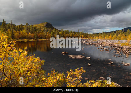 Paysage d'automne dans le parc national de Stora sjöfallets, nice feuilles jaunes sur les arbres et un petit lac, montagne en arrière-plan, Stora sjöfallets na Banque D'Images