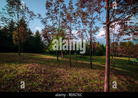 Tal Devaria Meadow - Uttrakhand Banque D'Images