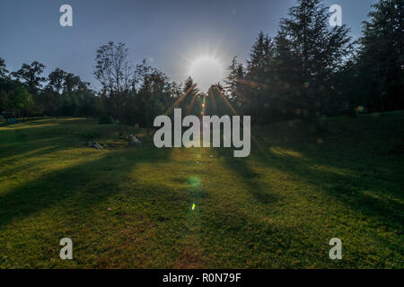 Tal Devaria Meadow - Uttrakhand Banque D'Images