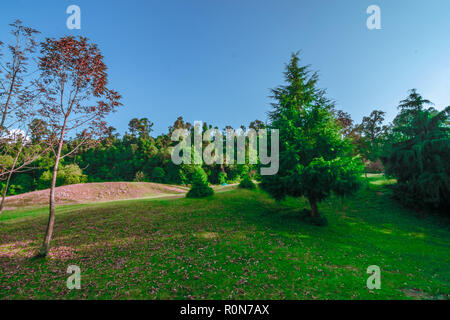 Tal Devaria Meadow - Uttrakhand Banque D'Images