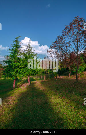 Tal Devaria Meadow - Uttrakhand Banque D'Images