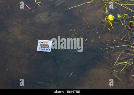Le Roi de pique jeu de carte flottant sur un bassin d'eau Banque D'Images