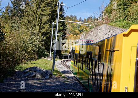 Vues du train en direction de Kleine Scheidegg, Région de Jungfrau, Suisse Banque D'Images