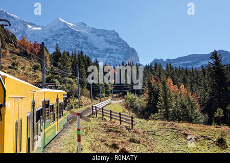 Vue sur le massif de la Jungfrau depuis la vedette de Kleine Scheidegg, Région de Jungfrau, Suisse Banque D'Images