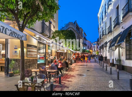 Bars, cafés et restaurants de nuit, Calle Conteros, Barrio Santa Cruz, Séville, Andalousie, Espagne Banque D'Images