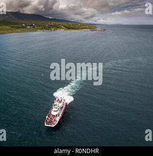 Bateau d'observation des baleines, Hjalteyri, Eyjafjordur, le nord de l'Islande Banque D'Images