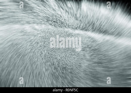 Système de gicleurs travaillent sur l'herbe verte fraîche filtre effet zoom. Banque D'Images