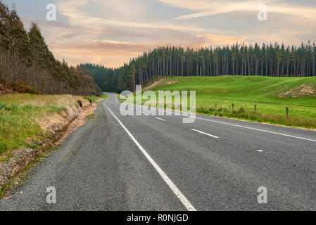 Une route asphaltée entre forêts denses et de prairies au coucher du soleil Banque D'Images