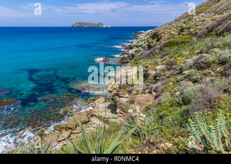 Littoral du Cap Corse, Corse, France Banque D'Images