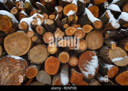 Visages de sciage en hiver. Un tas de bois de chauffage sous la neige. Résumé fond texture. Banque D'Images