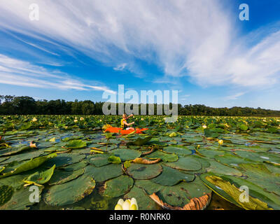 Boy kayak dans un lac rempli de nénuphars, United States Banque D'Images