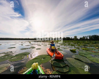 Garçon assis dans un kayak tenant une fleur dans un lac rempli de nénuphars, United States Banque D'Images