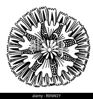 Cercle de l'été fleur doodle ornement. Faites par tracé à partir de croquis. Le noir et blanc d'origine ethnique. Illustration de Vecteur