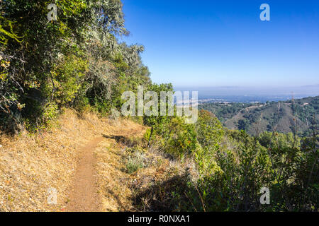 Sentier de randonnée à pied de Palo Alto Park, San Francisco Bay area visible à l'arrière-plan, en Californie Banque D'Images