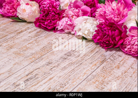 Frontière de pivoines sur un fond de bois avec de l'espace vide pour le texte. Floral design. Rose et violet fleurs de printemps. Banque D'Images