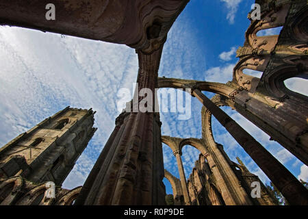 Large angle de dessous la hauteur des voûtes gothiques dans l'intérieur du monastère en ruines de l'abbaye de Fountains, Ripon, UK Banque D'Images